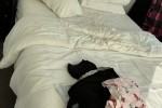 2 bedroom apartment move