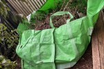 Junk removal
