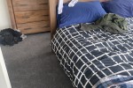 2 bedroom house move