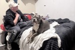 1 bedroom house move