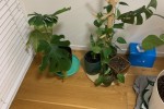 1 bedroom apartment move