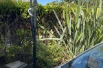 4+ bedroom house move