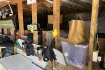 2 bedroom house move