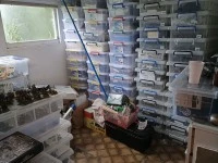 4+ bedroom house move