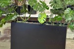 Planter (3) Planter (3)