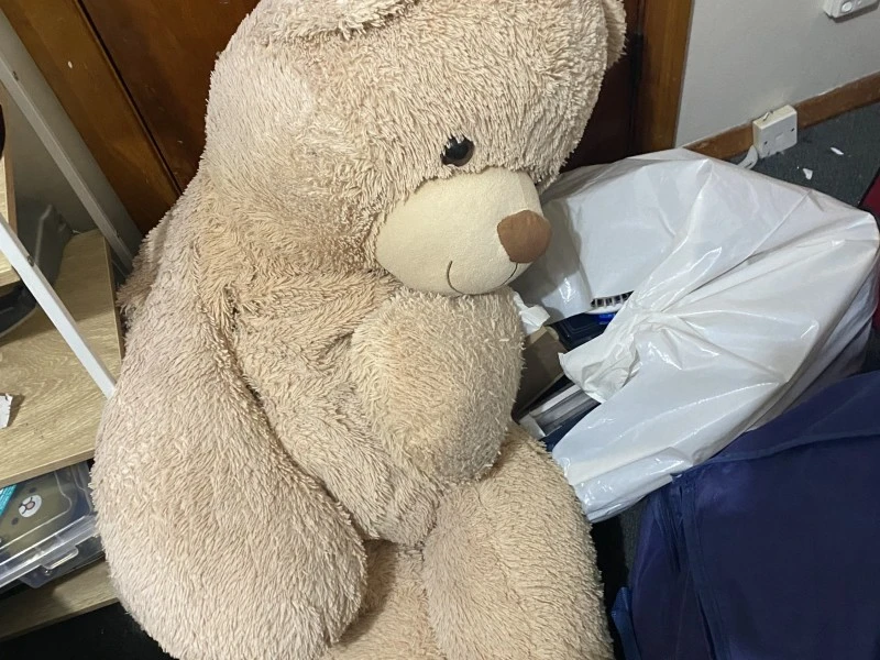 Teddy bear, clothing, random item  fan, books, crockery: , small teddy...