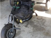 Kite Buggy