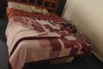 Bed, cot, bags,boxes. fridge