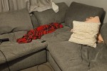 1 bedroom house move