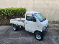 Suzuki Carry - Mini Ute