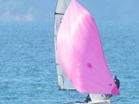 RS800 Skiff Sail Boat