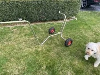 Go kart stand