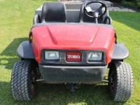 Toro Buggy / Side by side