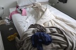 3 bedroom house move
