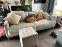Queen Bed - Mattress & Base, Couch