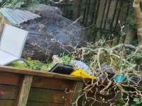 Junk removal