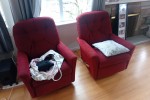 3 bedroom apartment move