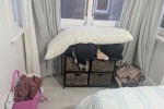 1 bedroom house move
