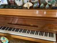 Old upright with standard size. its not valuable piano