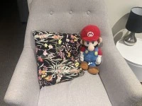 1 bedroom apartment move