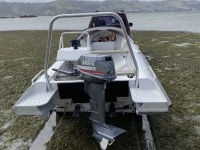 Small trailer boat