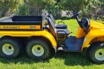 Cub Cadet 2006