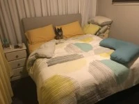 3 bedroom house move