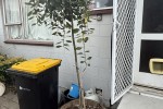 2 bedroom house move