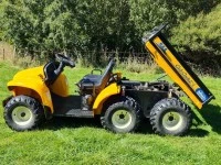 Cub Cadet 2006