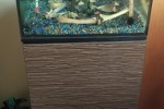 1 bedroom house move