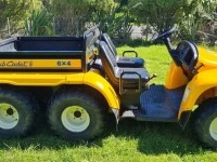 Cub Cadet 2006