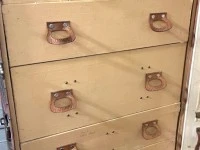 Goyard steamer trunk