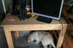Studio move