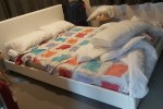 Queen bed and mattress, Fridge