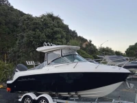 Motor boat Atomix 600