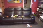 A king bed, a queen bed, a ks bed, 3 leather couches, 2 book shelf, a ...