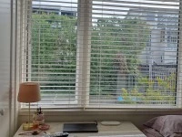 King  Size bed and mattress, TV Console, TV, Microwave, wall Mirror, L...