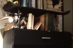 1 bedroom apartment move