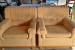 2 Lounge chairs