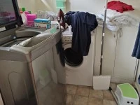 4+ bedroom house move