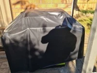 3 bedroom house move