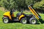 Cub Cadet 2006