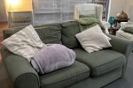 Two couches