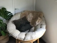 Beautiful papasan chair