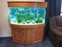 Fish Aquarium 325-350L, Rimu base