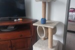 2 bedroom house move