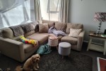 3 bedroom house move