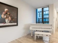 Kawau baby grand piano