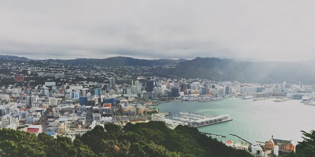 Pros and Cons of Moving to Wellington