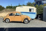 Vw Beetle